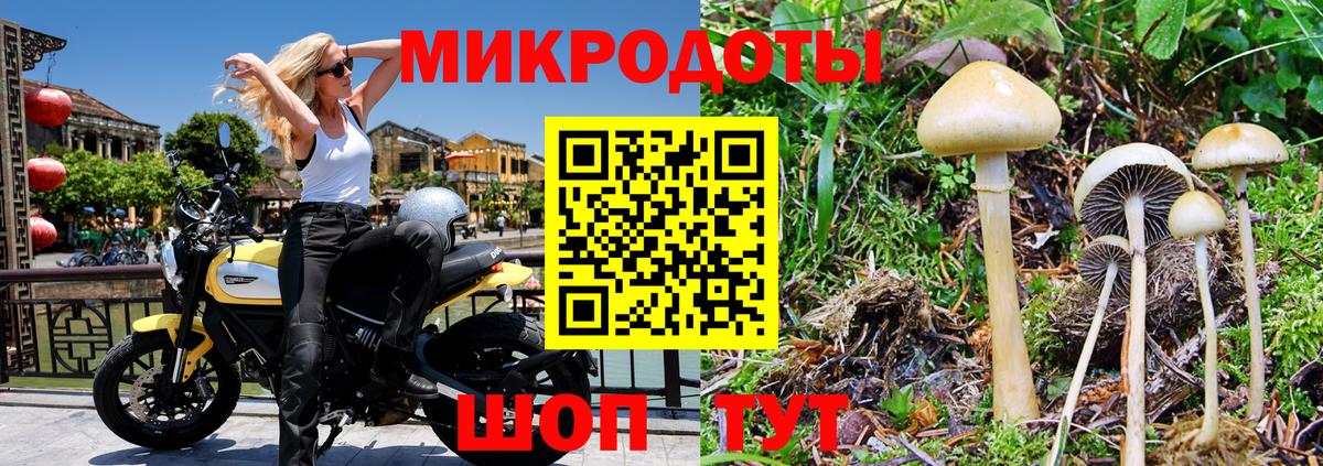 Псилоцибиновые грибы Magic Shrooms  Вход с VPN  Набережные Челны  цена   Псилоцибиновые грибы GOLDEN TEACHER 